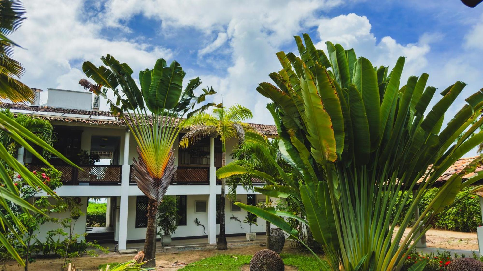 Casa Acayu Hotell São Miguel dos Milagres Eksteriør bilde
