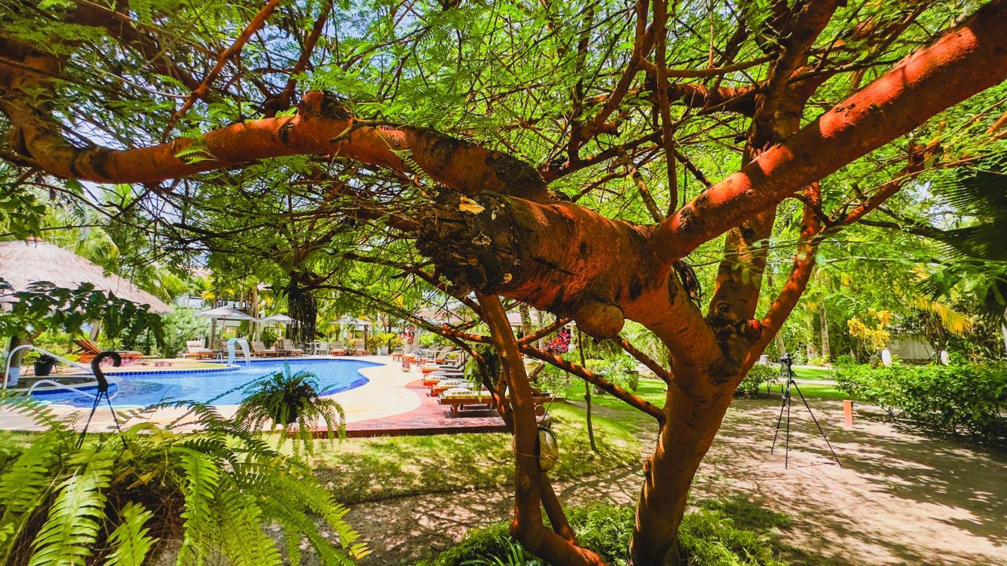 Casa Acayu Hotell São Miguel dos Milagres Eksteriør bilde